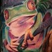 Tattoos - tiger frog dragon dragon fly tattoo - 52770